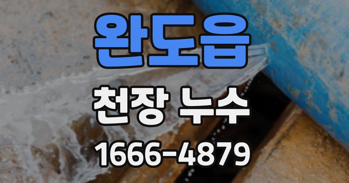 완도읍 천장 누수