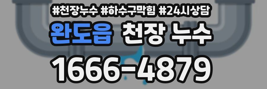 완도읍 천장 누수