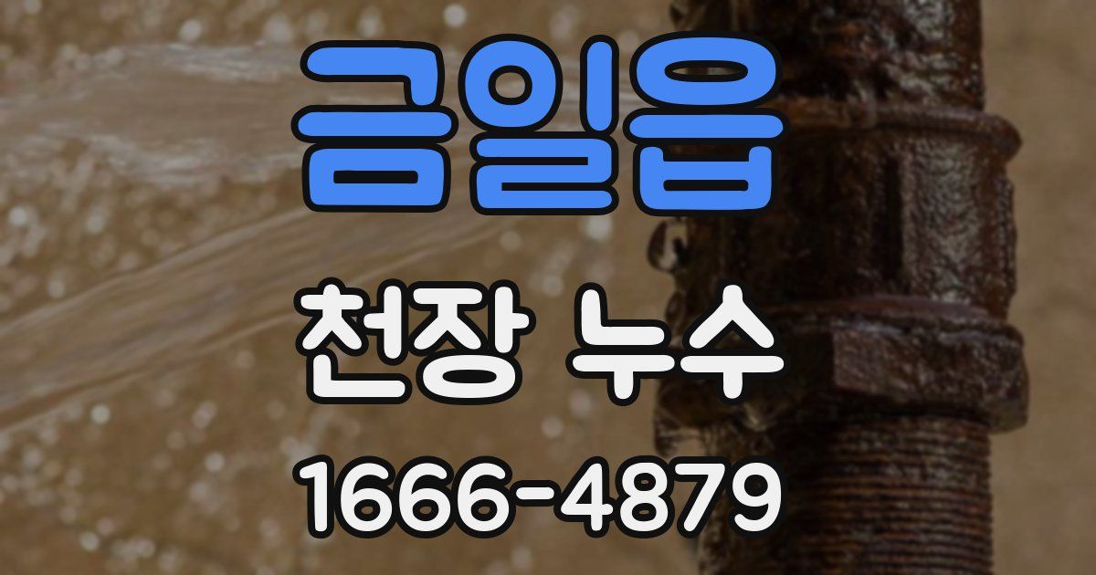 금일읍 천장 누수