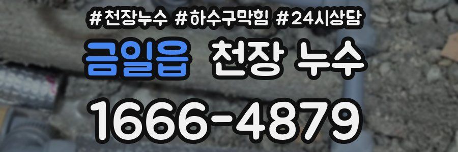 금일읍 천장 누수