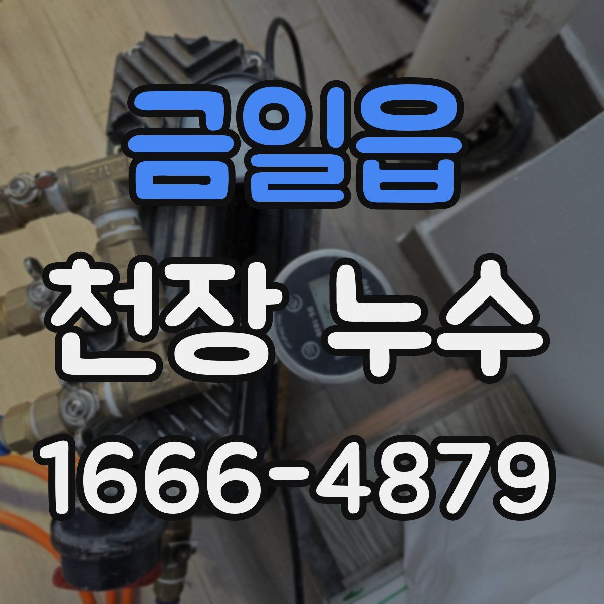 금일읍 천장 누수