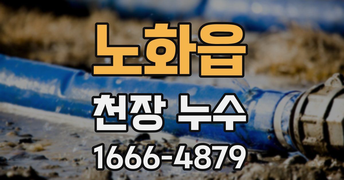 노화읍 천장 누수