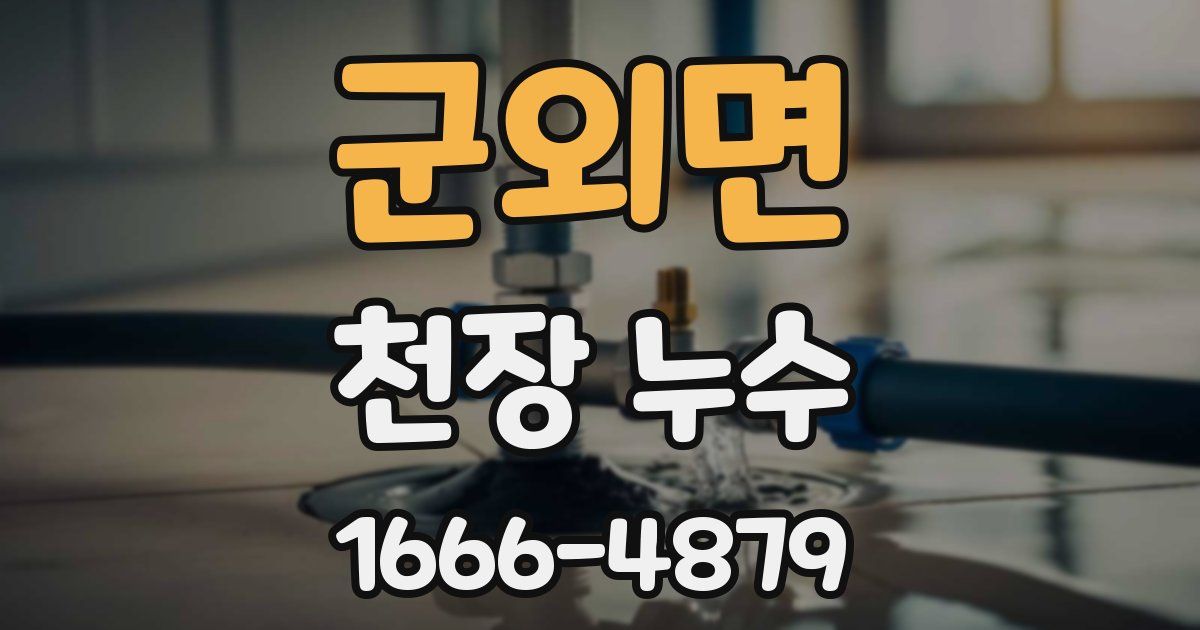 군외면 천장 누수