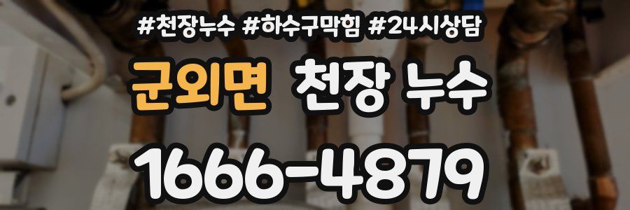 군외면 천장 누수