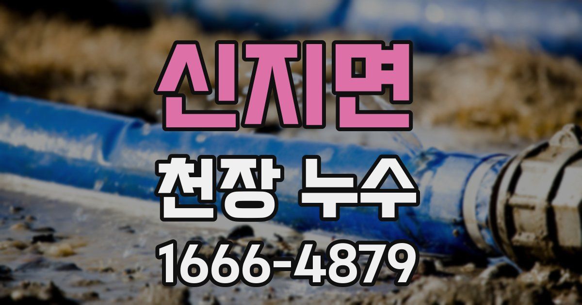 신지면 천장 누수