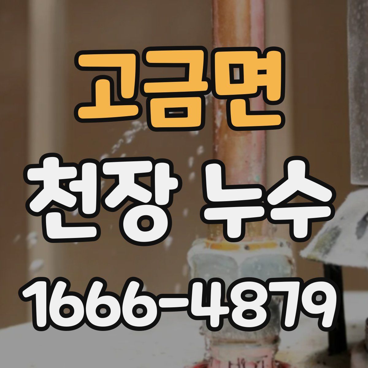 고금면 천장 누수