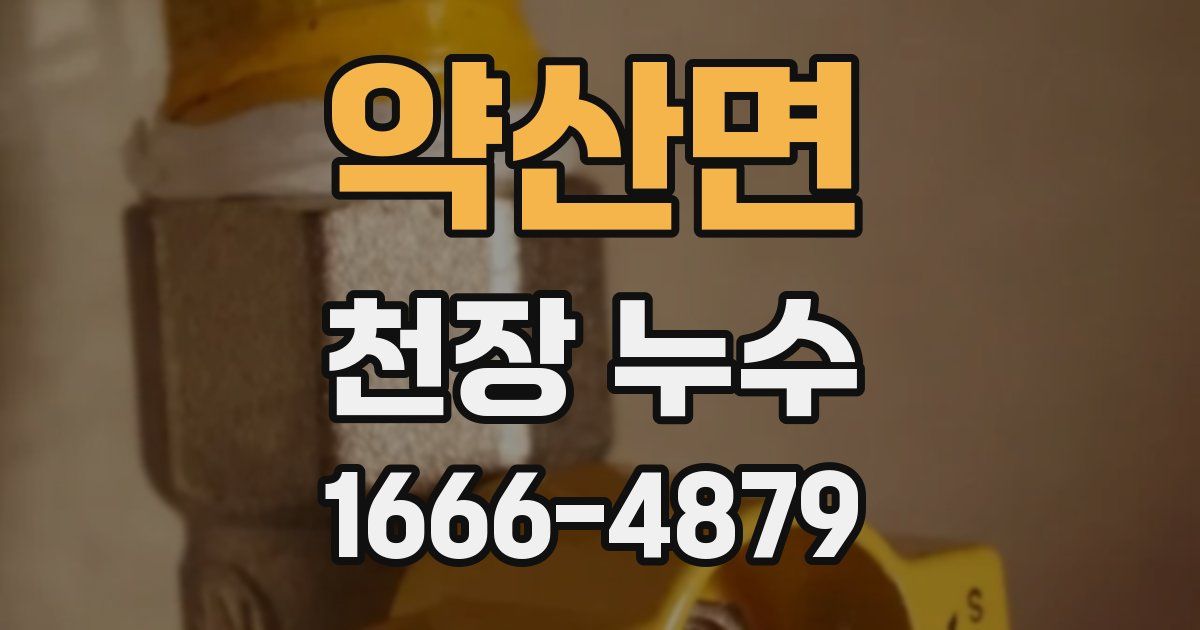 약산면 천장 누수