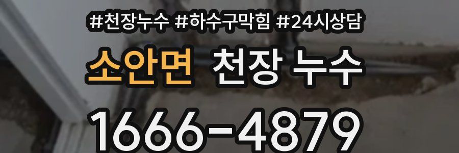 소안면 천장 누수