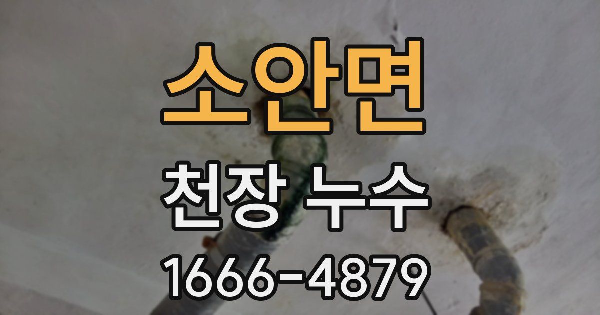 소안면 천장 누수