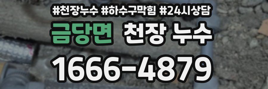 금당면 천장 누수