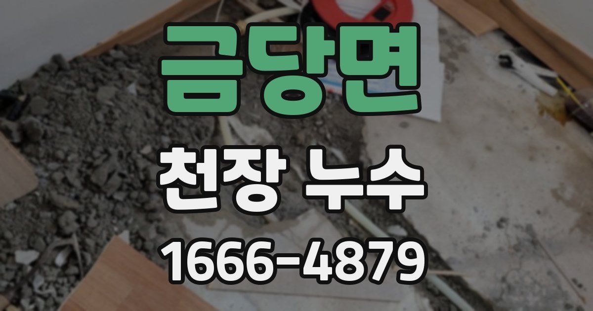 금당면 천장 누수