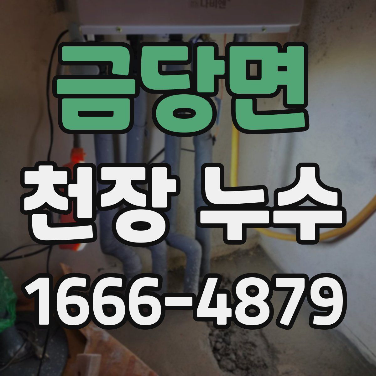 금당면 천장 누수