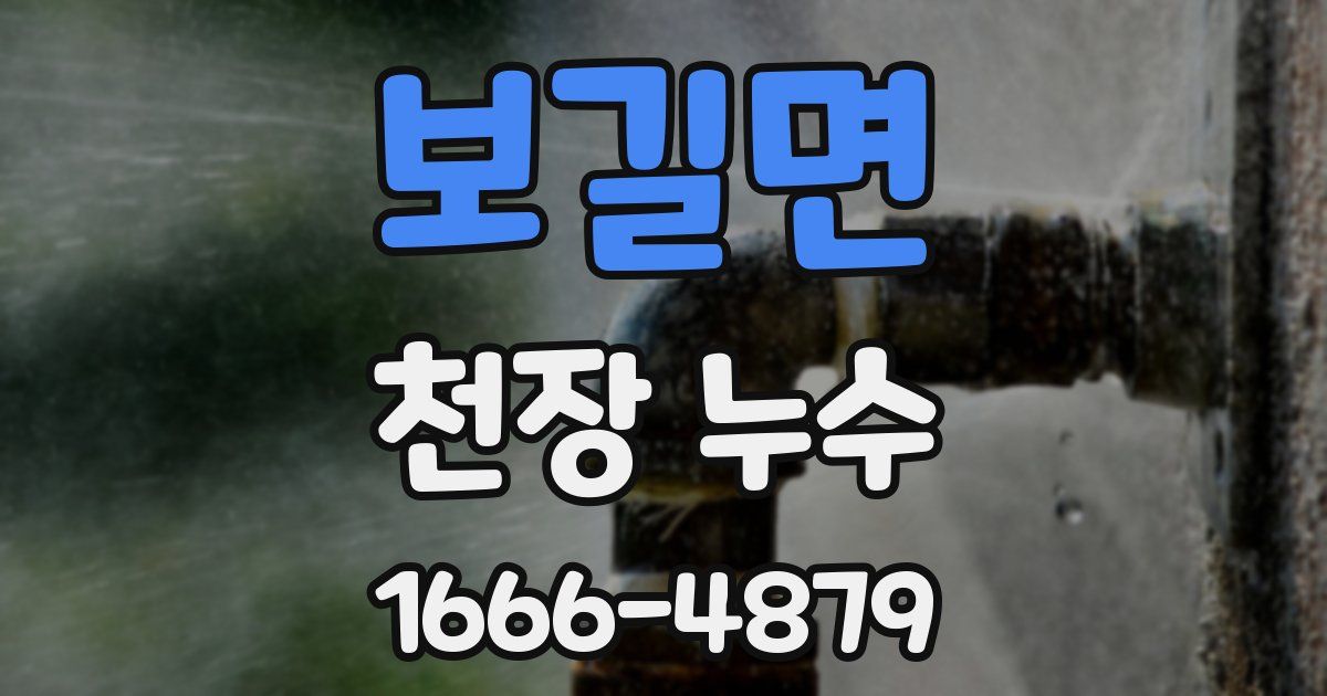 보길면 천장 누수