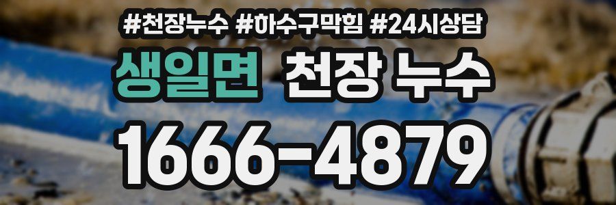 생일면 천장 누수