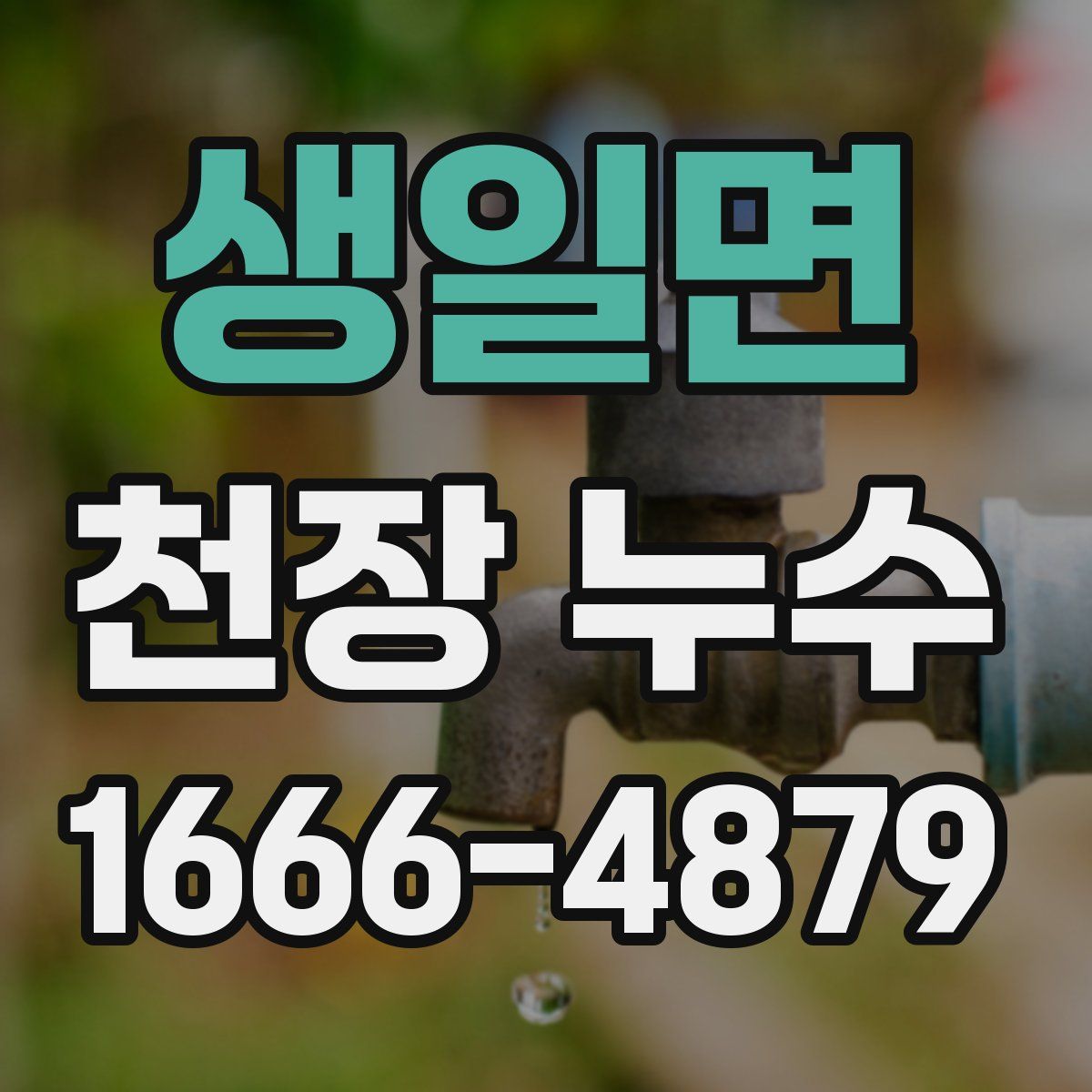 생일면 천장 누수