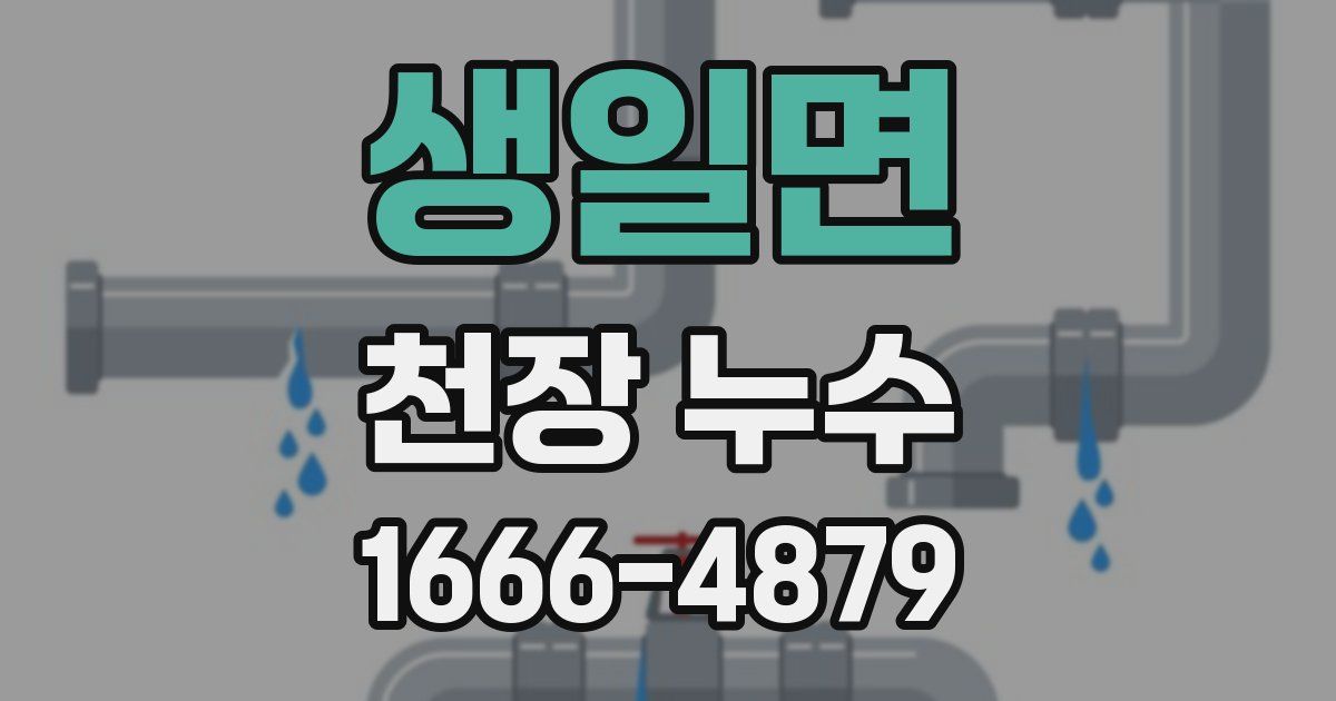 생일면 천장 누수