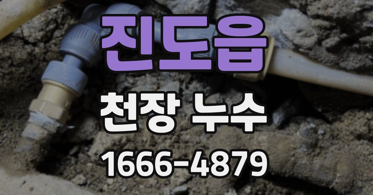 진도읍 천장 누수