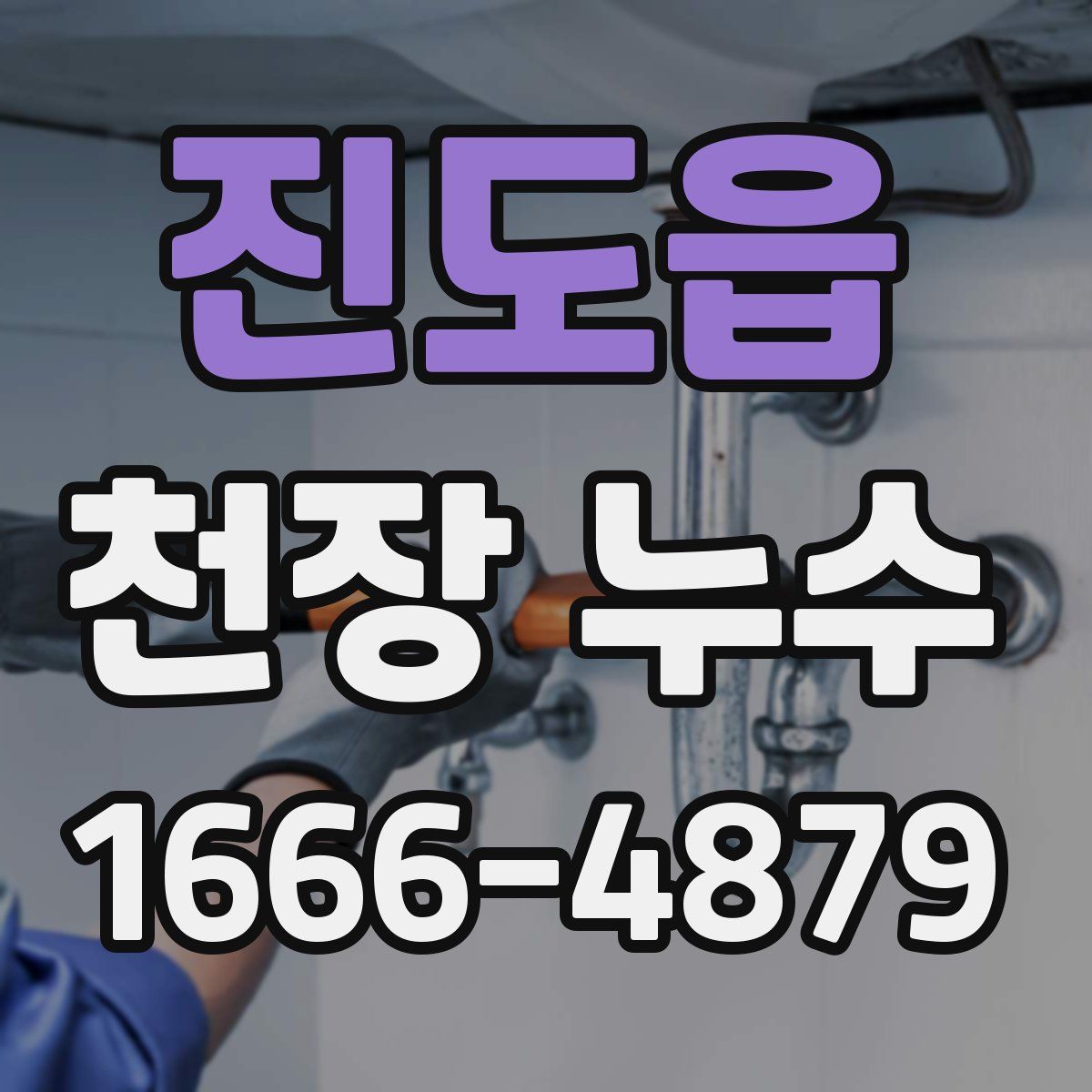 진도읍 천장 누수