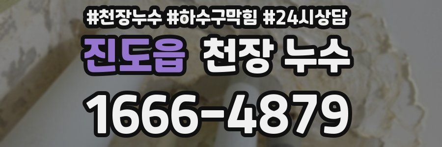 진도읍 천장 누수