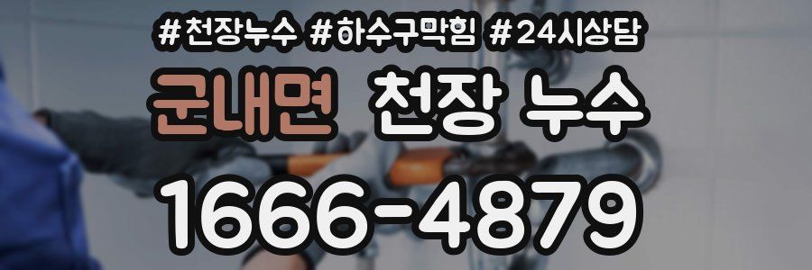 군내면 천장 누수