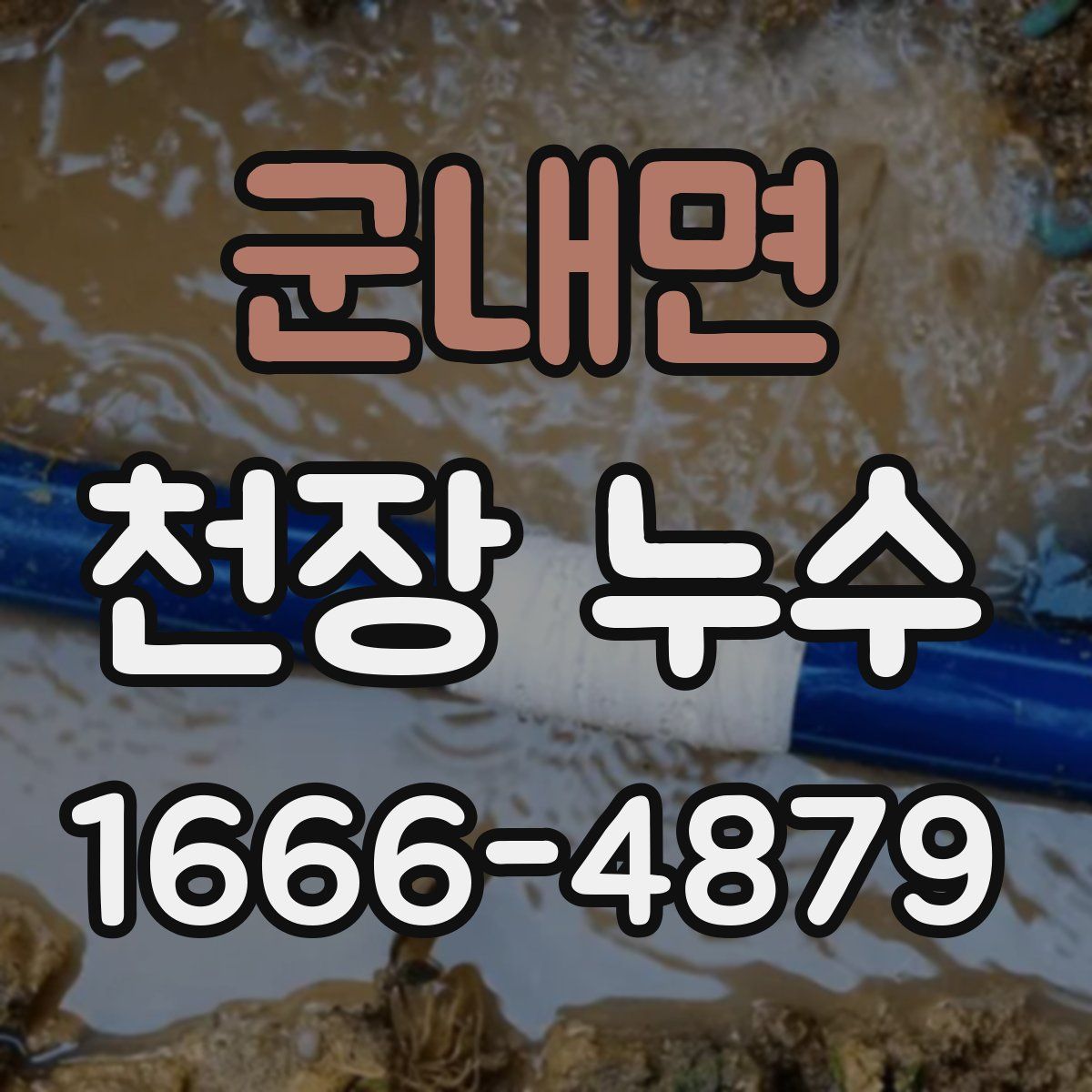 군내면 천장 누수