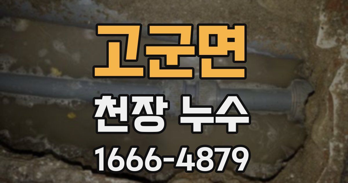 고군면 천장 누수