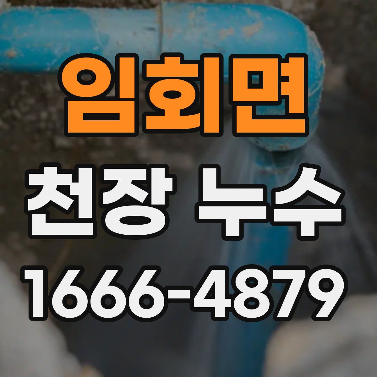 임회면 천장 누수