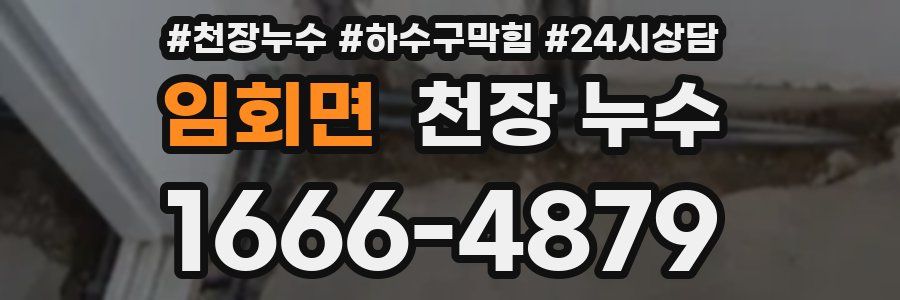 임회면 천장 누수