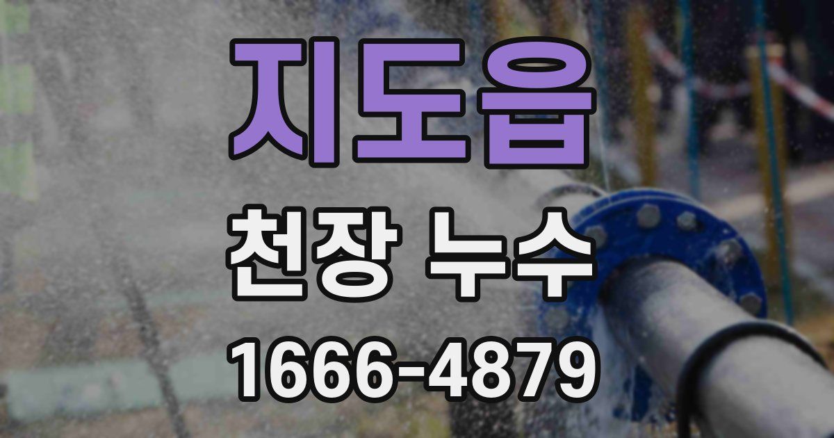 지도읍 천장 누수