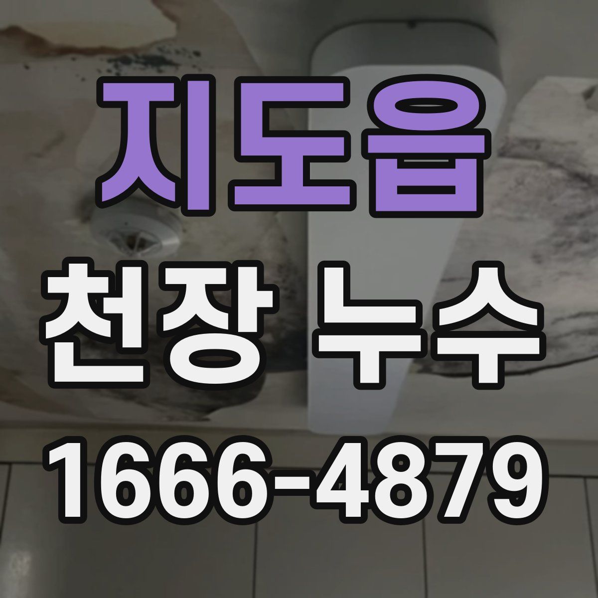 지도읍 천장 누수