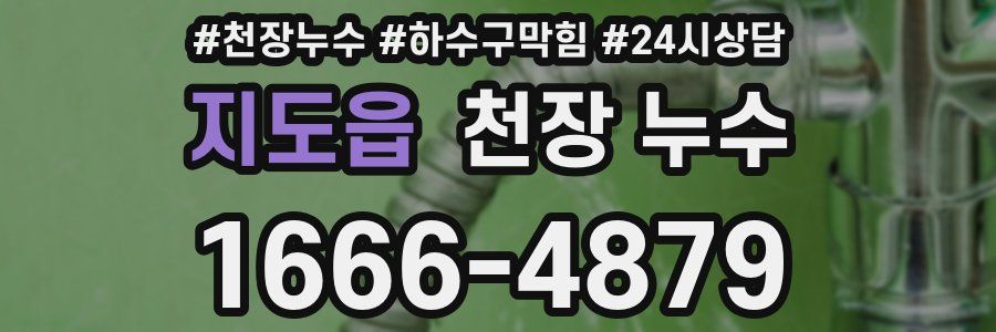 지도읍 천장 누수