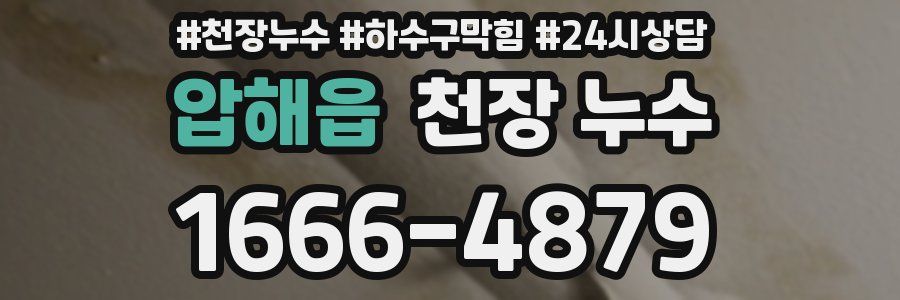 압해읍 천장 누수