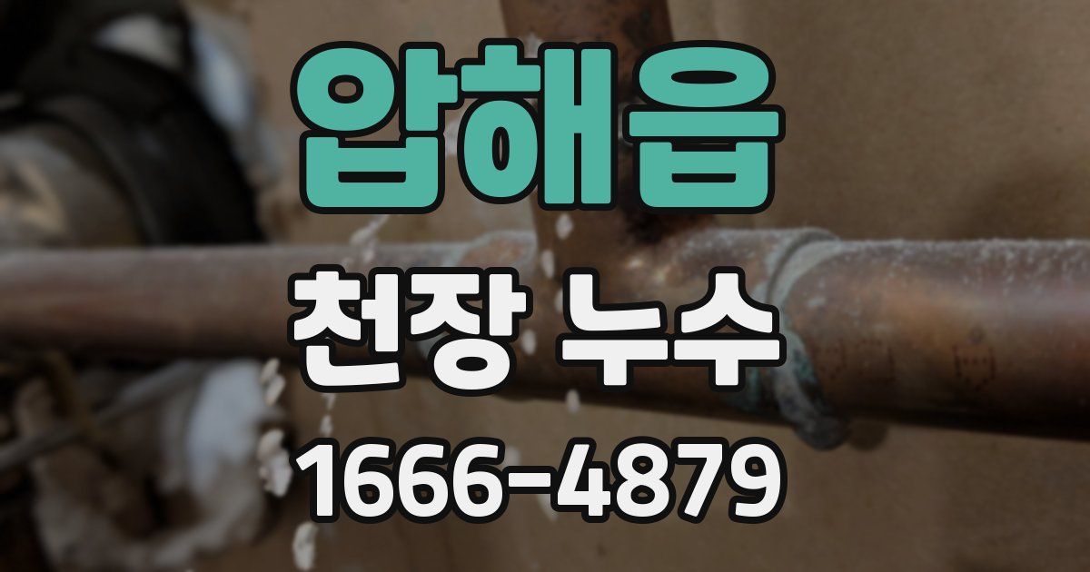 압해읍 천장 누수