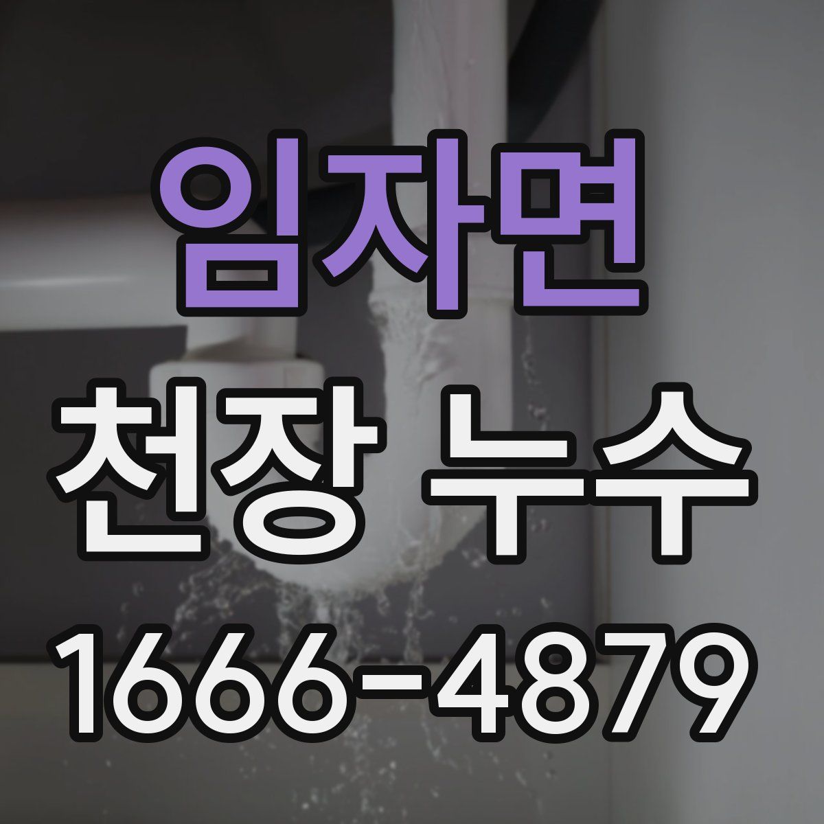 임자면 천장 누수