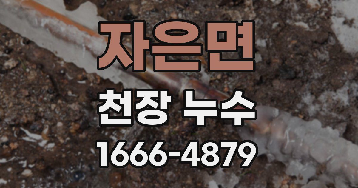 자은면 천장 누수