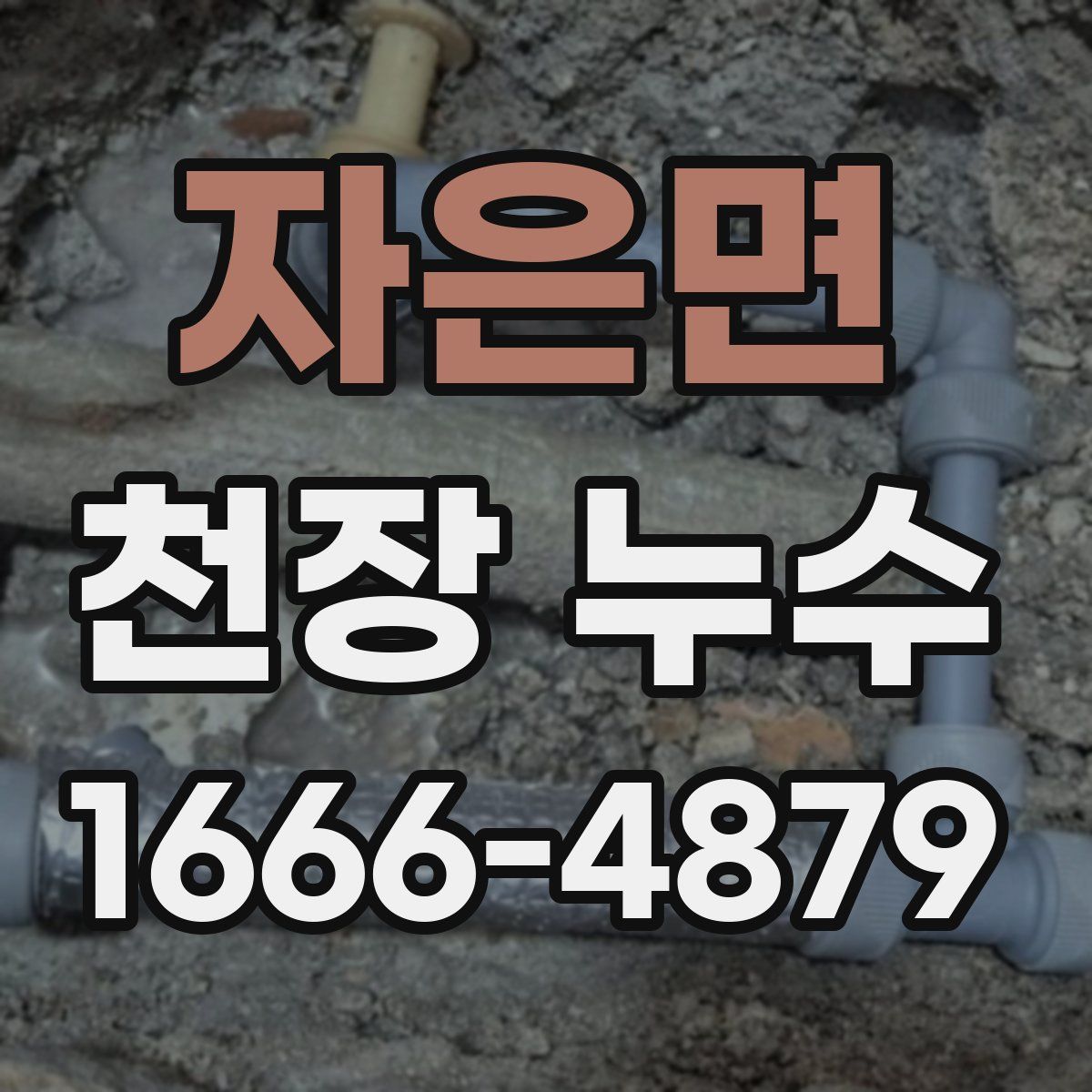 자은면 천장 누수