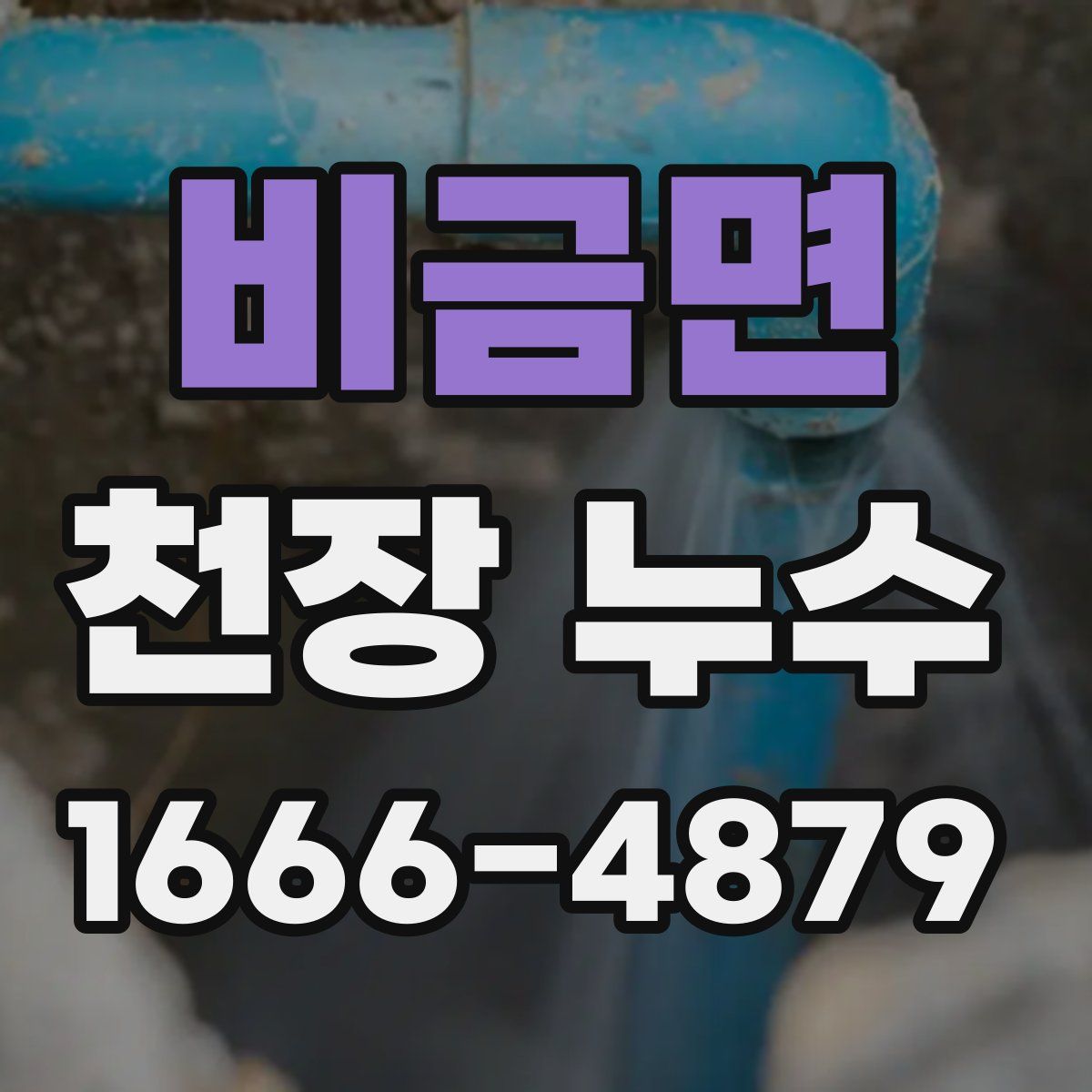 비금면 천장 누수