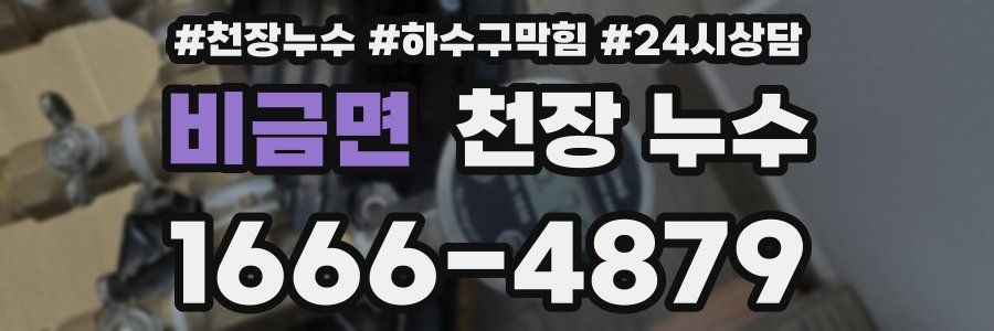 비금면 천장 누수