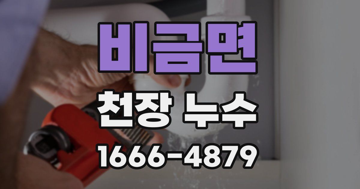 비금면 천장 누수