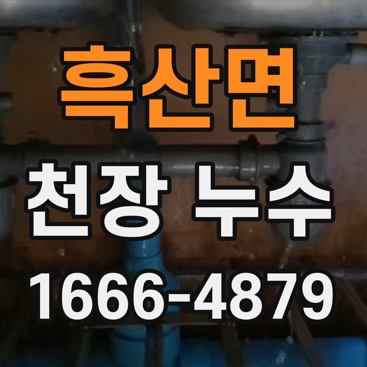 흑산면 천장 누수