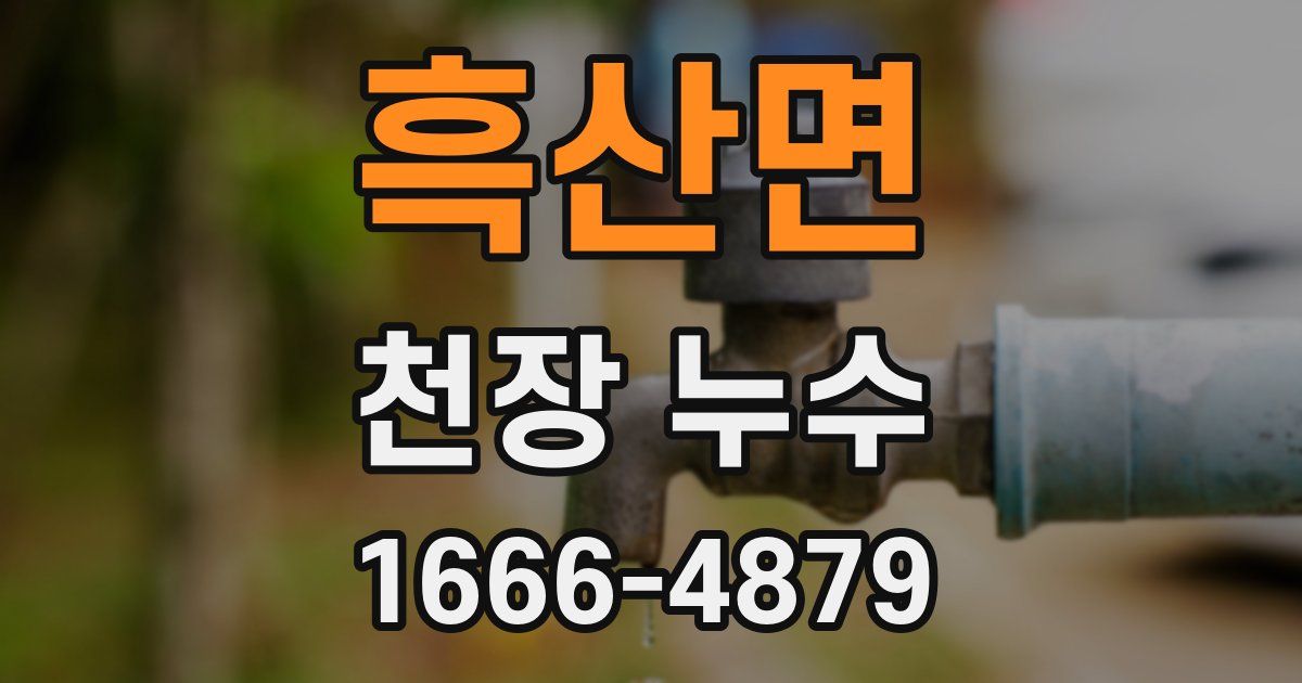 흑산면 천장 누수