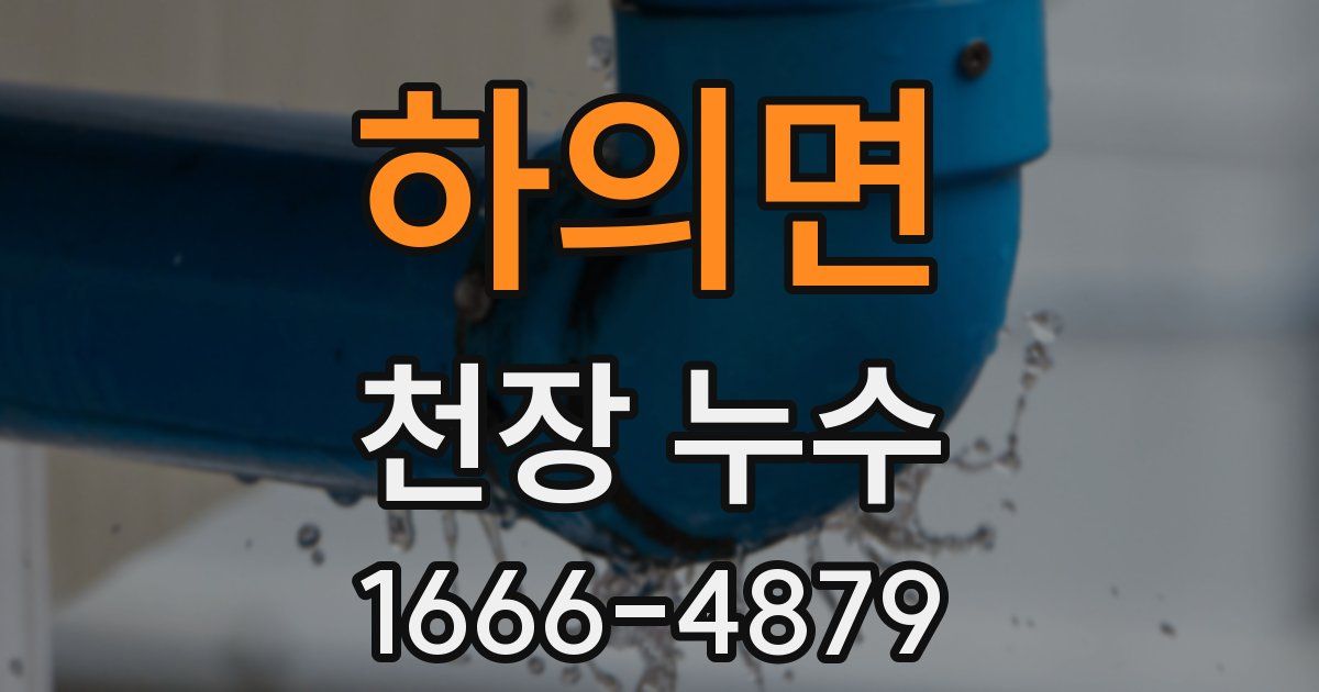 하의면 천장 누수