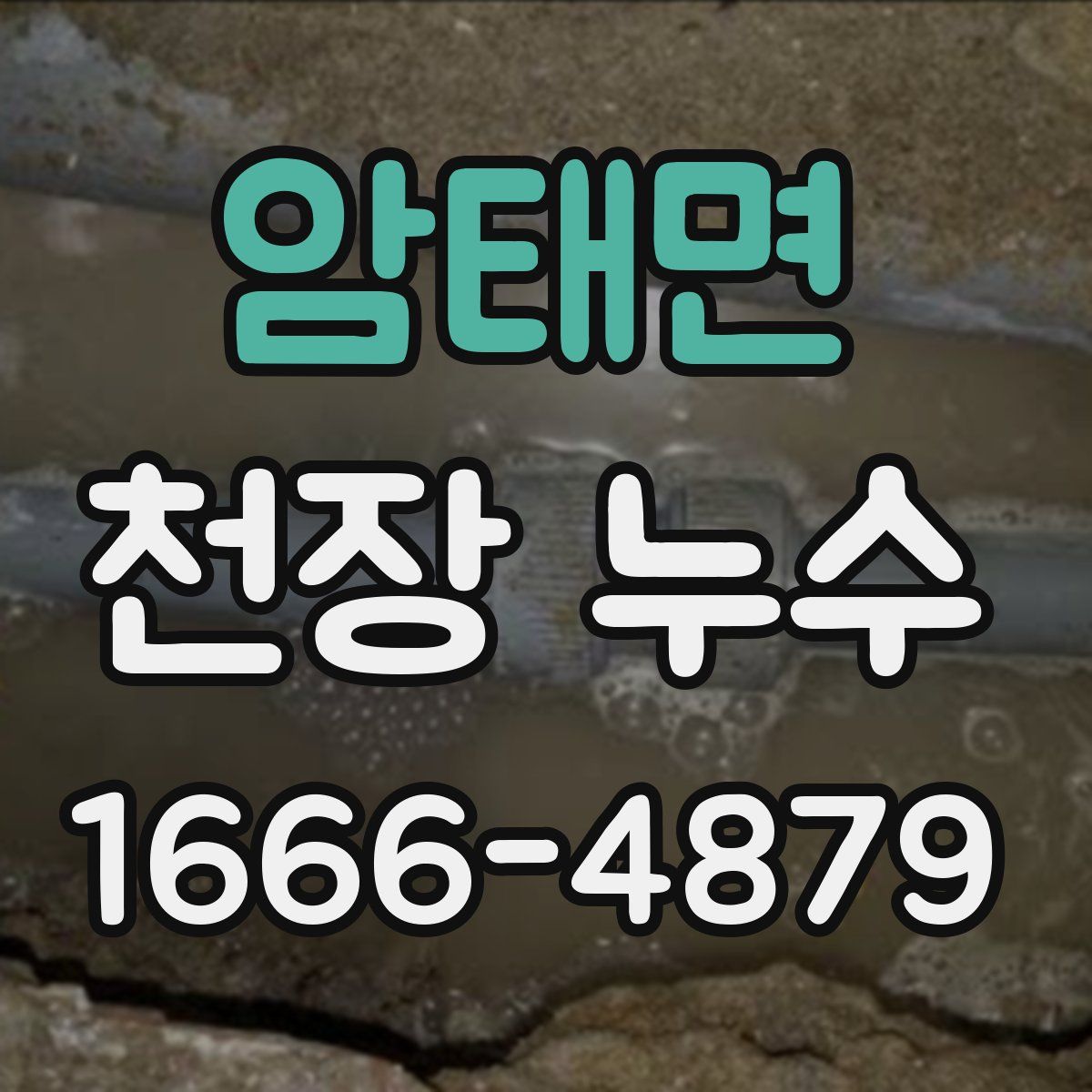 암태면 천장 누수