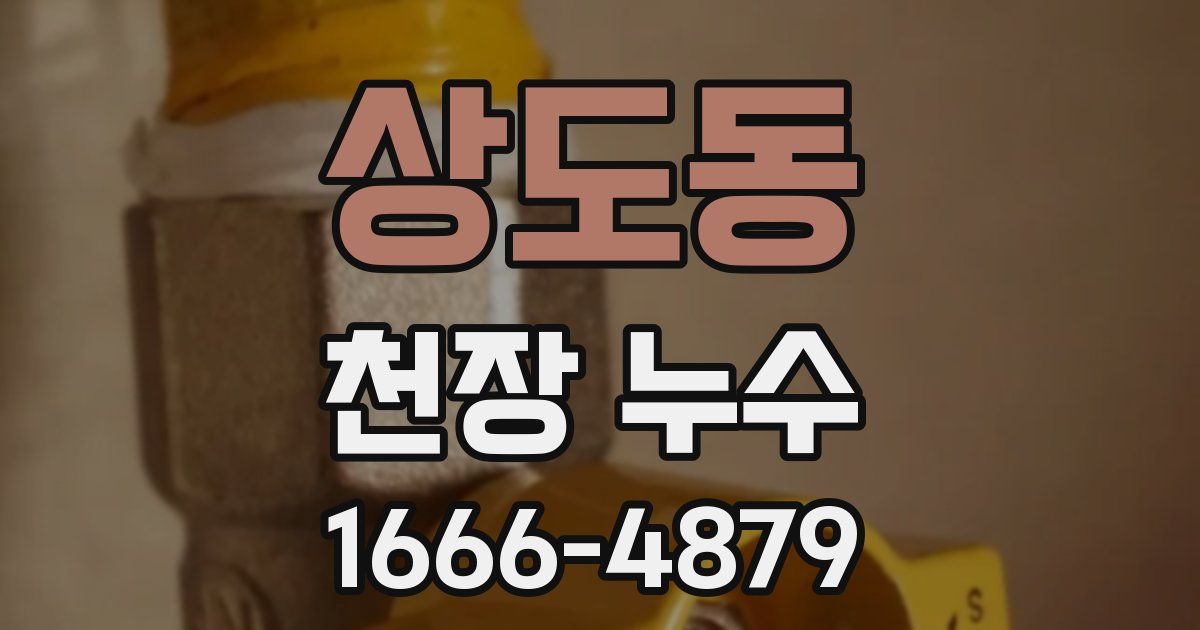 상도동 천장 누수