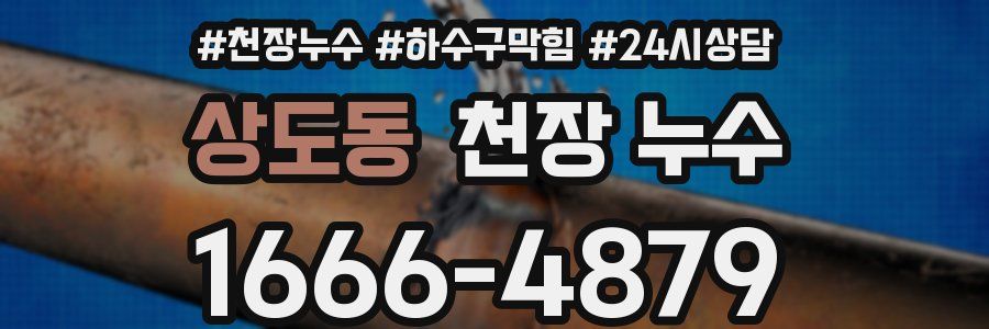 상도동 천장 누수