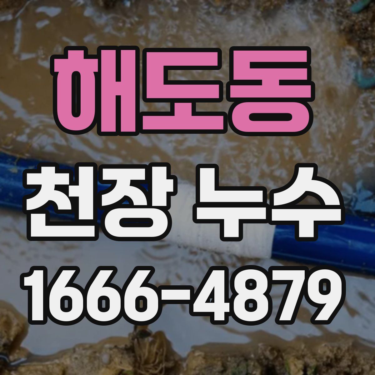 해도동 천장 누수