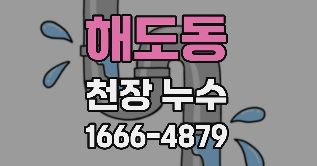 해도동 천장 누수