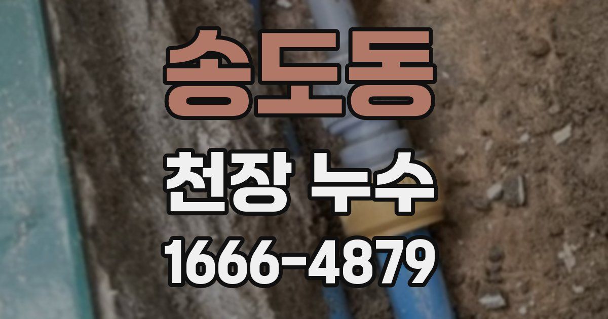 송도동 천장 누수