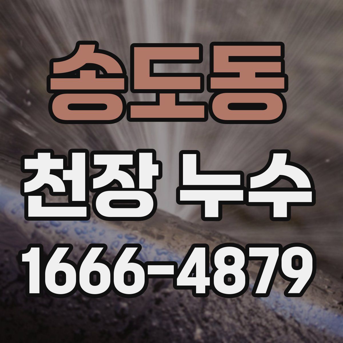 송도동 천장 누수