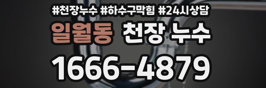 일월동 천장 누수